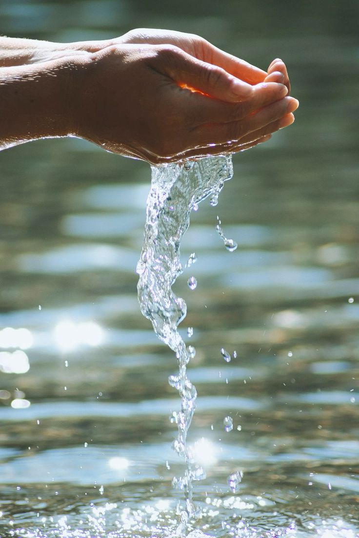 8bb51950 3669 4c11 8ce6 1198bb13fb42